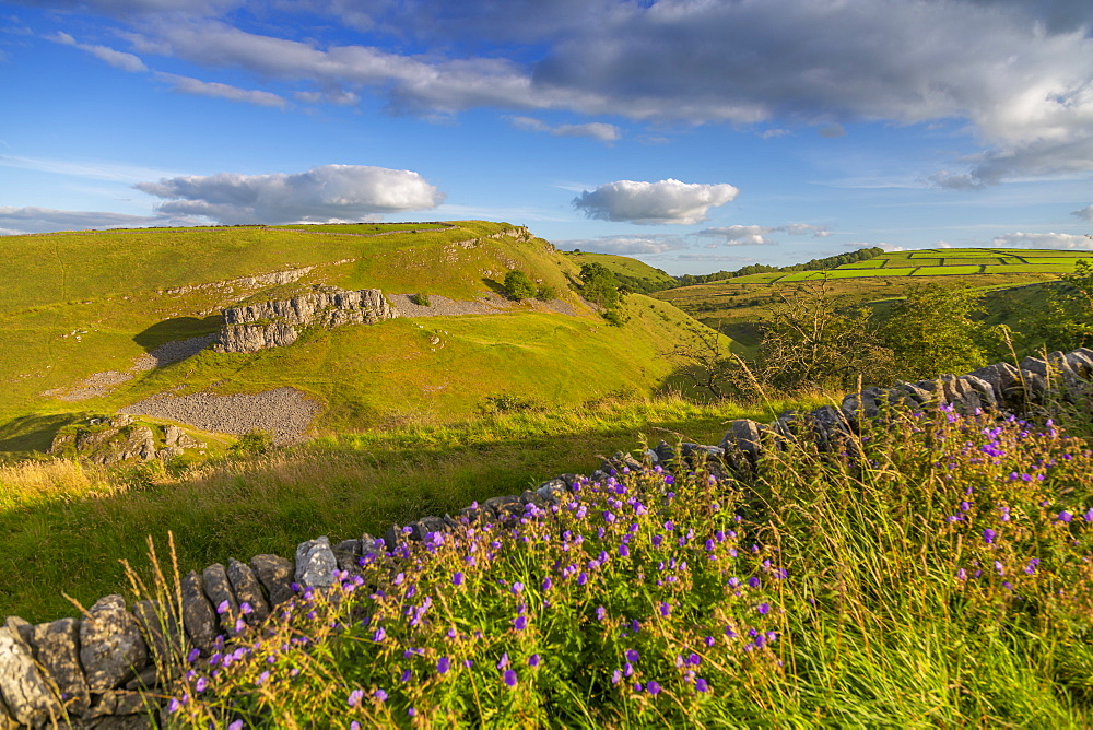 Landscape view of countryside and dry stone walls near Litton, Peak District National Park, Derbyshire, England, United Kingdom, Europe