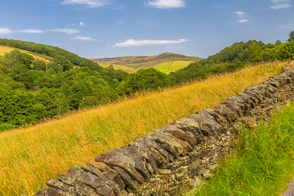 View of dry stone walls, woodland and hills surrounding Hayfield, High Peak, Derbyshire, England, United Kingdom, Europe