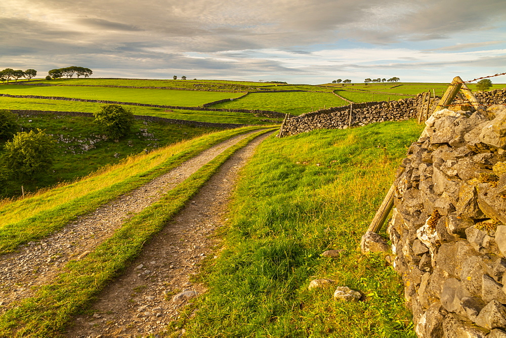 View of track and landscape near Whetton, Tideswell, Peak District National Park, Derbyshire, England, United Kingdom, Europe