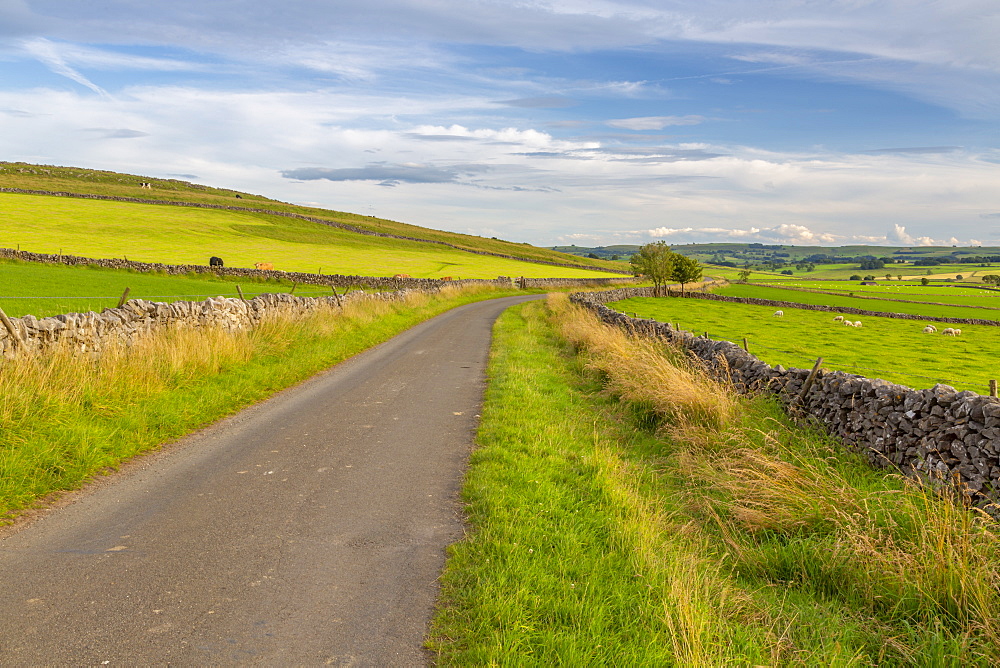 View of dry stone walls and countryside near Litton, Peak District National Park, Derbyshire, England, United Kingdom, Europe