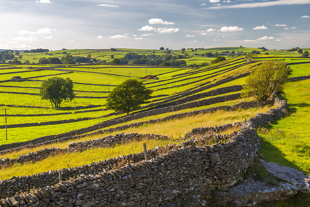 View of dry stone walls near Litton, Peak District National Park, Derbyshire, England, United Kingdom, Europe