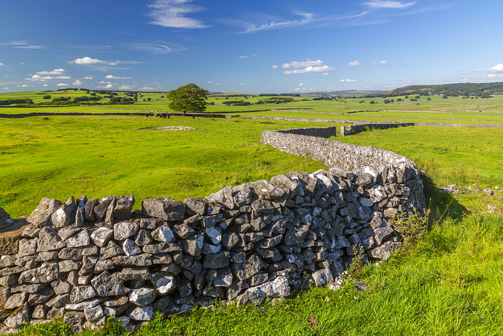 View of dry stone walls near Litton, Peak District National Park, Derbyshire, England, United Kingdom, Europe