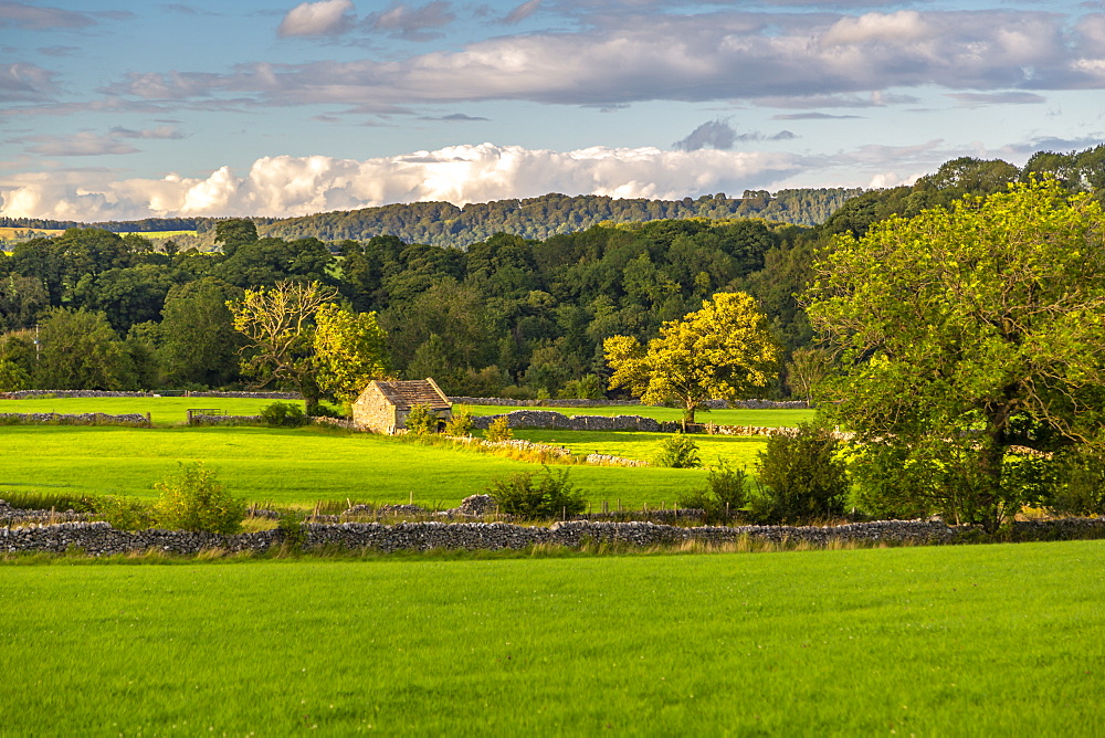 View of dry stone walls near Youlgrave village, Peak District National Park, Derbyshire, England, United Kingdom, Europe