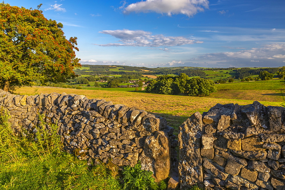 View of dry stone walls near Youlgrave village, Peak District National Park, Derbyshire, England, United Kingdom, Europe