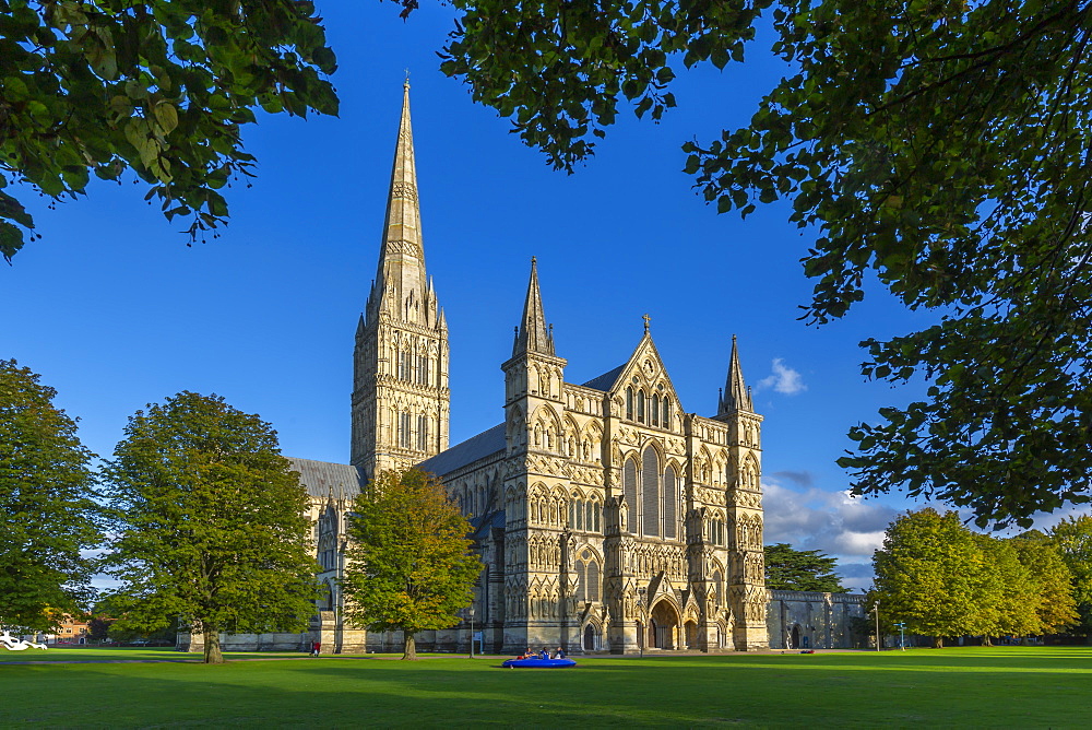 View of Salisbury Cathedral framed by trees, Salisbury, Wiltshire, England, United Kingdom, Europe