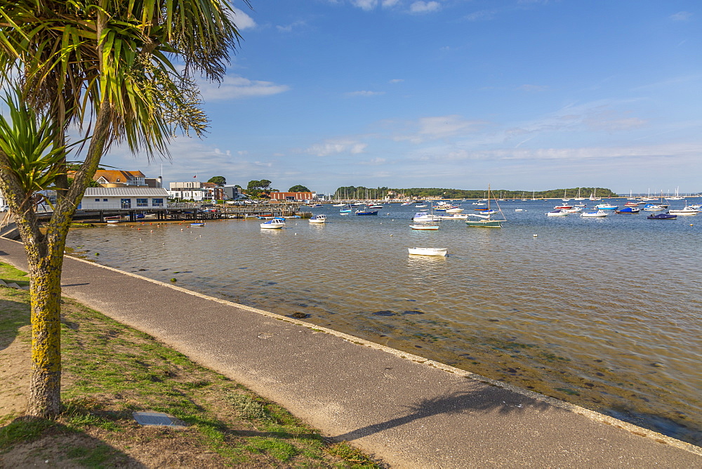 View of Sandbanks and Poole Harbour from Bank Road, Poole, Dorset, England, United Kingdom, Europe