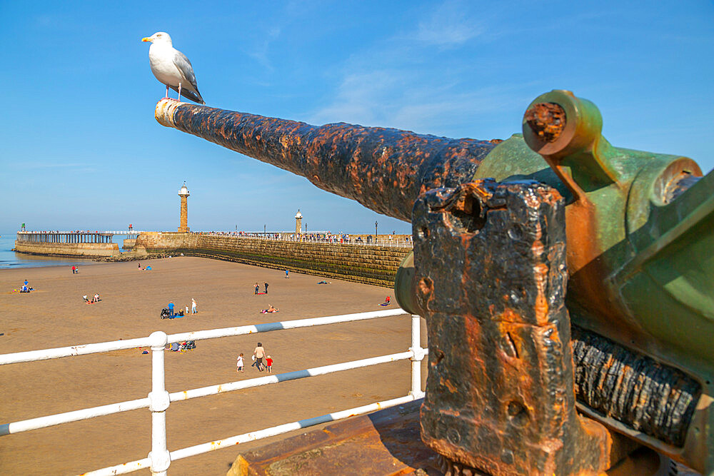 View of cannon overlooking Whitby West Pier and lighhouse, Whitby, Yorkshire, England, United Kingdom, Europe