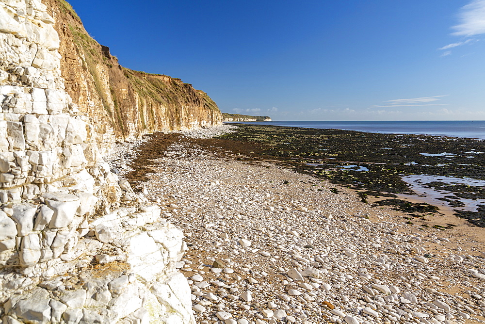 View of Flamborough Head from North Beach shoreline, Bridlington, North Yorkshire, England, United Kingdom, Europe