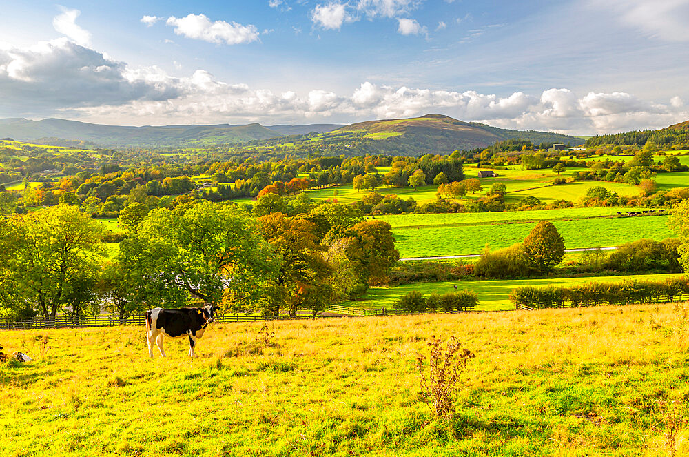 View of Hope Valley and countryside autumnal colours, Derbyshire Peak District, Derbyshire, England, United Kingdom, Europe