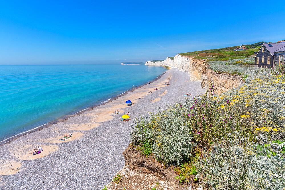 View of Seven Sisters Chalk Cliffs from Birling Gap, South Downs National Park, near Eastbourne, East Sussex, England, United Kingdom, Europe