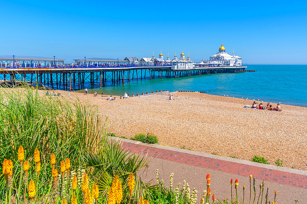 View of flowers, pier and beach in summer time, Eastbourne, East Sussex, England, United Kingdom, Europe