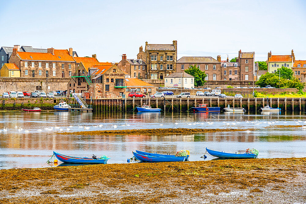 View of River Tweed and town buildings, Berwick-upon-Tweed, Northumberland, England, United Kingdom, Europe