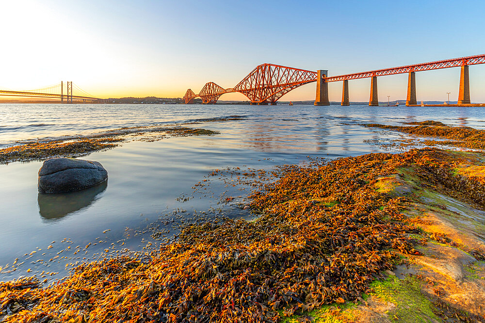 View of the Forth Road Bridge, Queensferry Crossing and Forth Rail Bridge, UNESCO World Heritage Site, over the Firth of Forth at sunset, South Queensferry, Edinburgh, Lothian, Scotland, United Kingdom, Europe