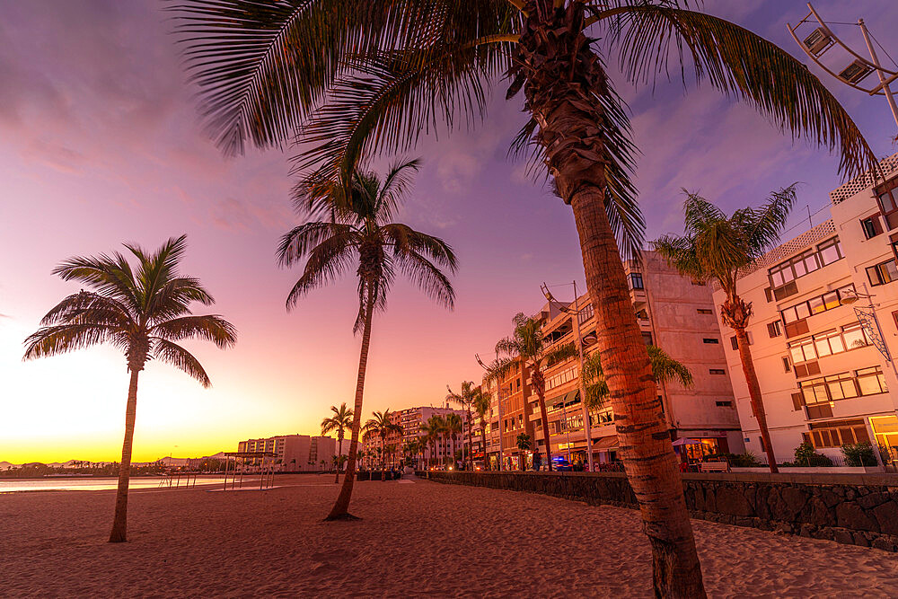 View of palm trees on Playa del Reducto at sunset, Arrecife, Lanzarote, Canary Islands, Spain, Atlantic, Europe