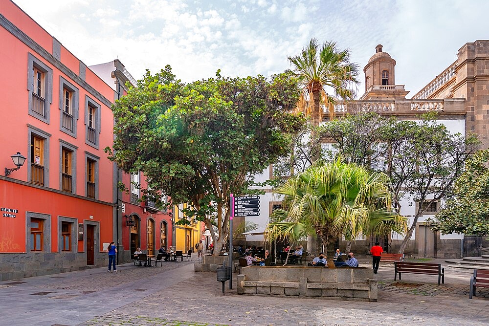 View of Catedral Metropolitana and Plaza de El Cortado, Las Palmas, Gran Canaria, Canary Islands, Spain, Atlantic, Europe