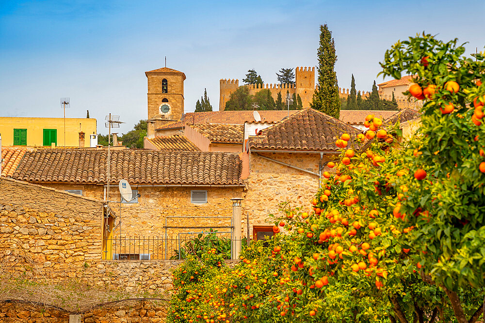 View of orange trees near Performing Arts Theatre in old town Arta, Arta, Majorca, Balearic Islands, Spain, Mediterranean, Europe