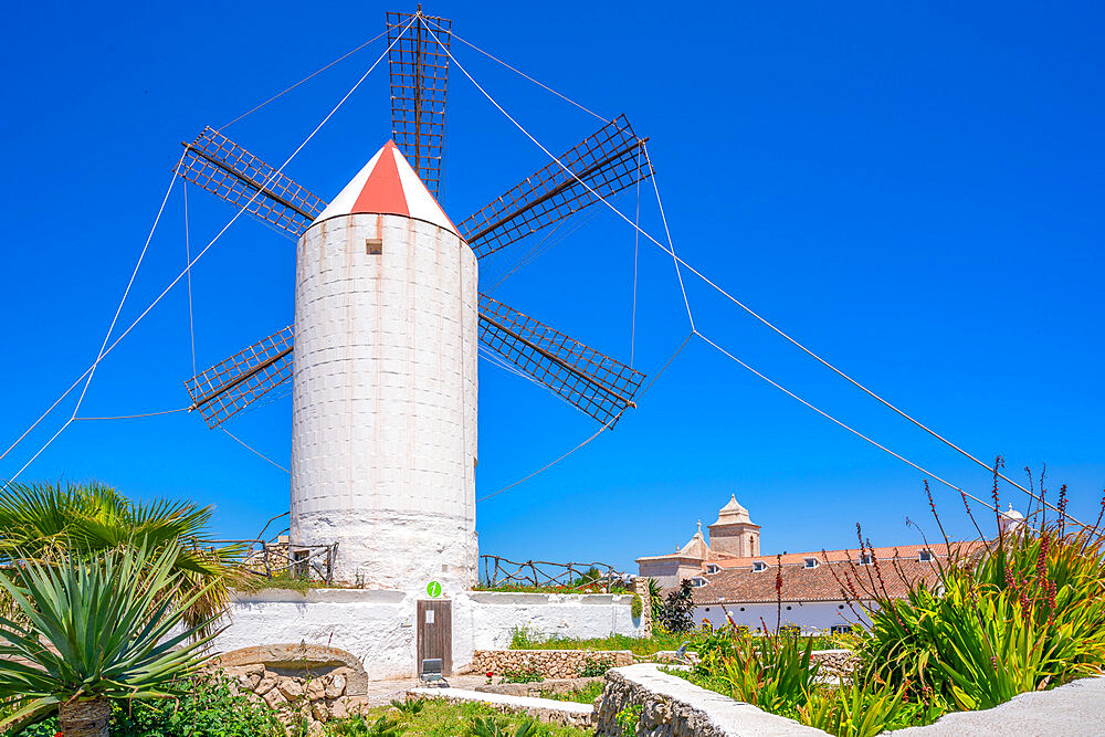 View of whitewashed windmill and Tourist Info Centre, Es Castell, Menorca, Balearic Islands, Spain, Mediterranean, Europe