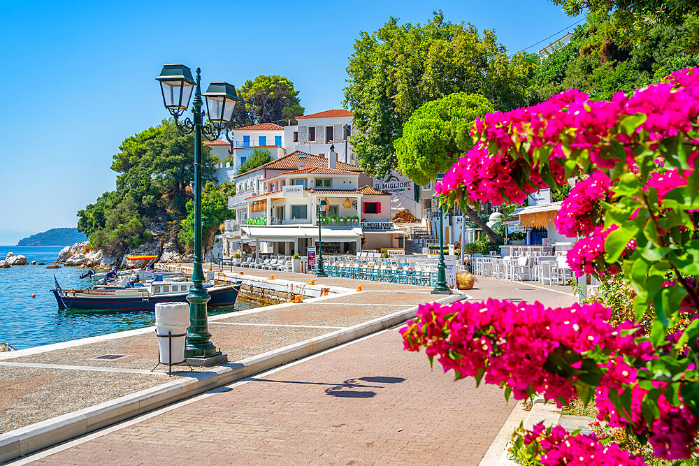 View of Belvedere Skiathos Old Port and Skiathos Town, Skiathos Island, Sporades Islands, Greek Islands, Greece, Europe