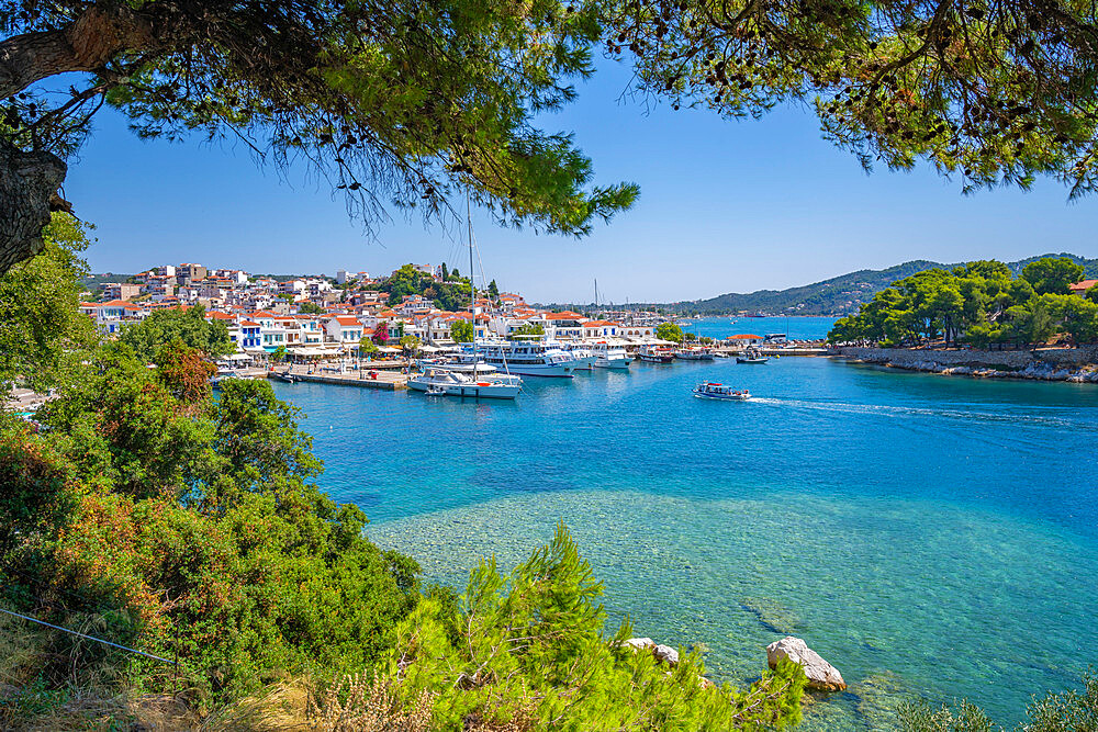 View of Belvedere Skiathos Old Port from elevated position in Skiathos Town, Skiathos Island, Sporades Islands, Greek Islands, Greece, Europe