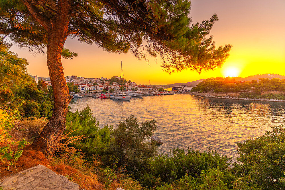 View of Belvedere Skiathos Old Port from elevated position at sunrise in Skiathos Town, Skiathos Island, Sporades Islands, Greek Islands, Greece, Europe