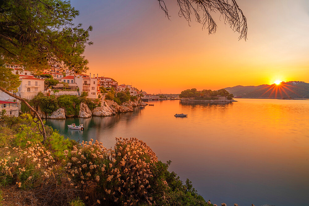 View of old town framed by trees at sunrise, Skiathos Town, Skiathos Island, Sporades Islands, Greek Islands, Greece, Europe