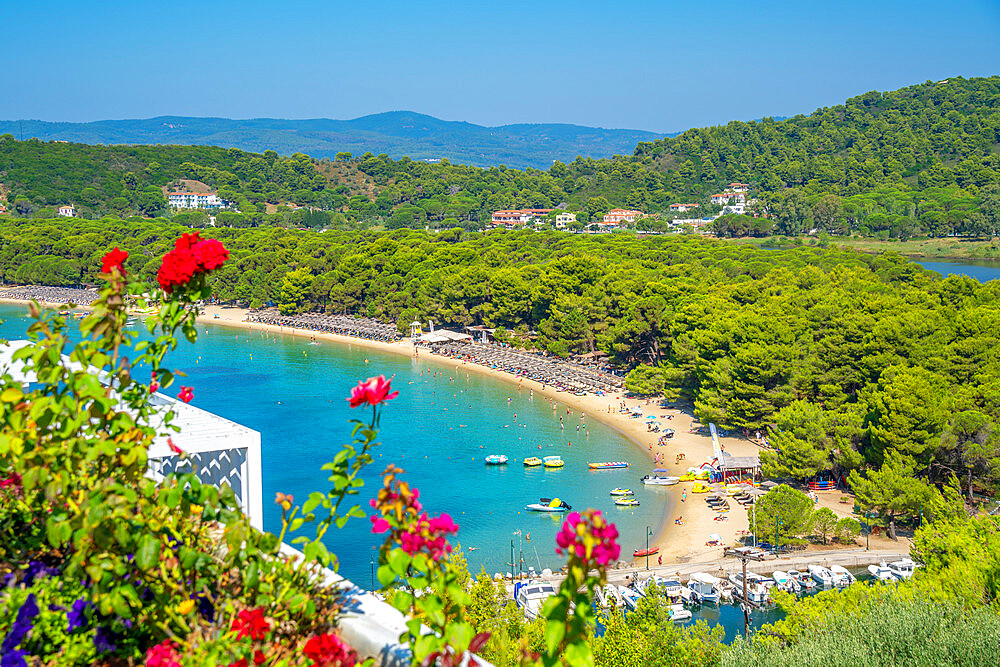 Aerial view of Koukounaries Beach, Skiathos Town, Skiathos Island, Sporades Islands, Greek Islands, Greece, Europe