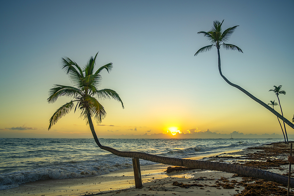 View of sea, beach and palm trees at sunrise, Bavaro Beach, Punta Cana, Dominican Republic, West Indies, Caribbean, Central America