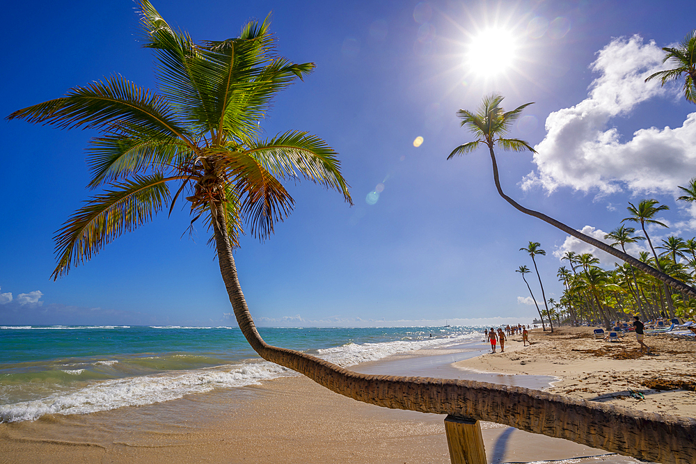 View of sea, beach and palm trees on a sunny day, Bavaro Beach, Punta Cana, Dominican Republic, West Indies, Caribbean, Central America