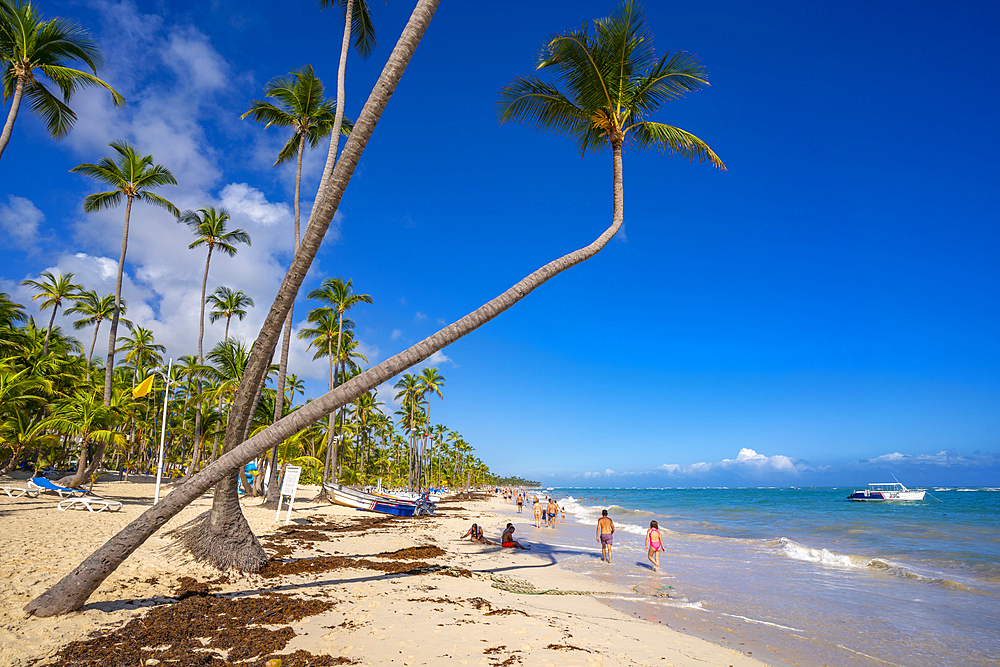 View of sea, beach and palm trees on a sunny day, Bavaro Beach, Punta Cana, Dominican Republic, West Indies, Caribbean, Central America