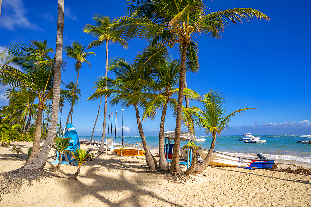 View of sea, beach and palm trees on a sunny day, Bavaro Beach, Punta Cana, Dominican Republic, West Indies, Caribbean, Central America