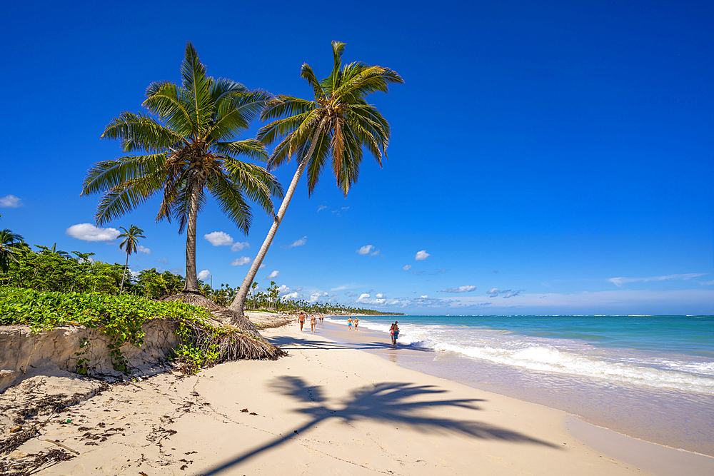 View of palm trees and sea at Bavaro Beach, Punta Cana, Dominican Republic, West Indies, Caribbean, Central America