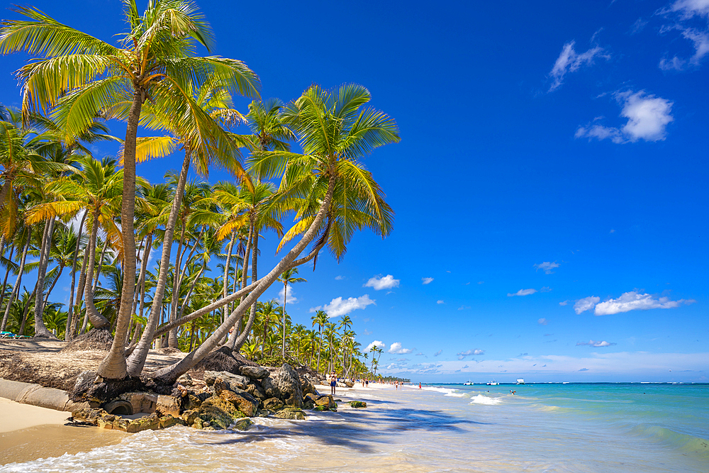 View of palm trees and sea at Bavaro Beach, Punta Cana, Dominican Republic, West Indies, Caribbean, Central America