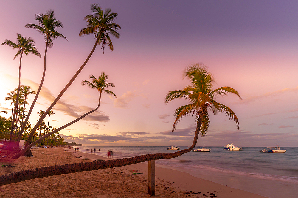 View of palm trees and sea at Bavaro Beach at sunset, Punta Cana, Dominican Republic, West Indies, Caribbean, Central America