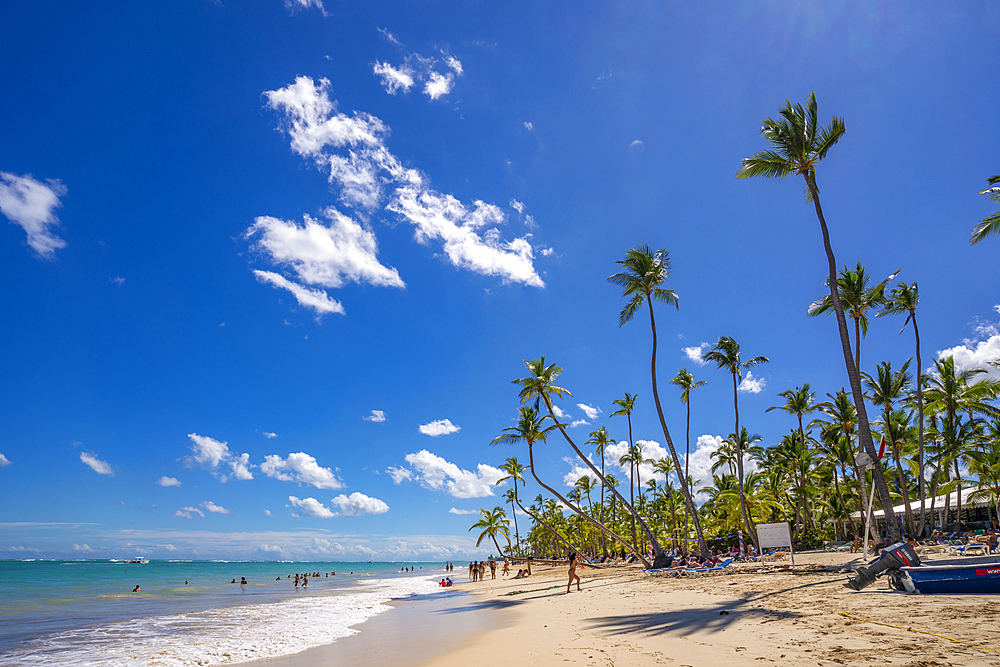 View of palm trees and sea at Bavaro Beach, Punta Cana, Dominican Republic, West Indies, Caribbean, Central America