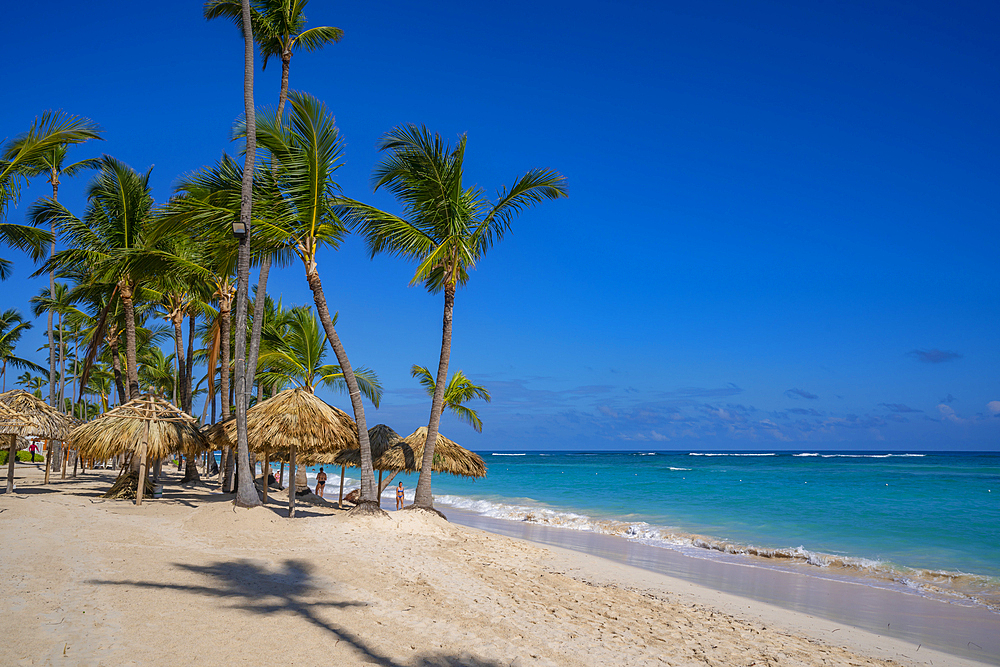 View of palm trees on Bavaro Beach, Punta Cana, Dominican Republic, West Indies, Caribbean, Central America