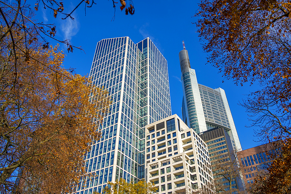 View of financial district skyline, Taunusanlage, Frankfurt am Main, Hesse, Germany, Europe