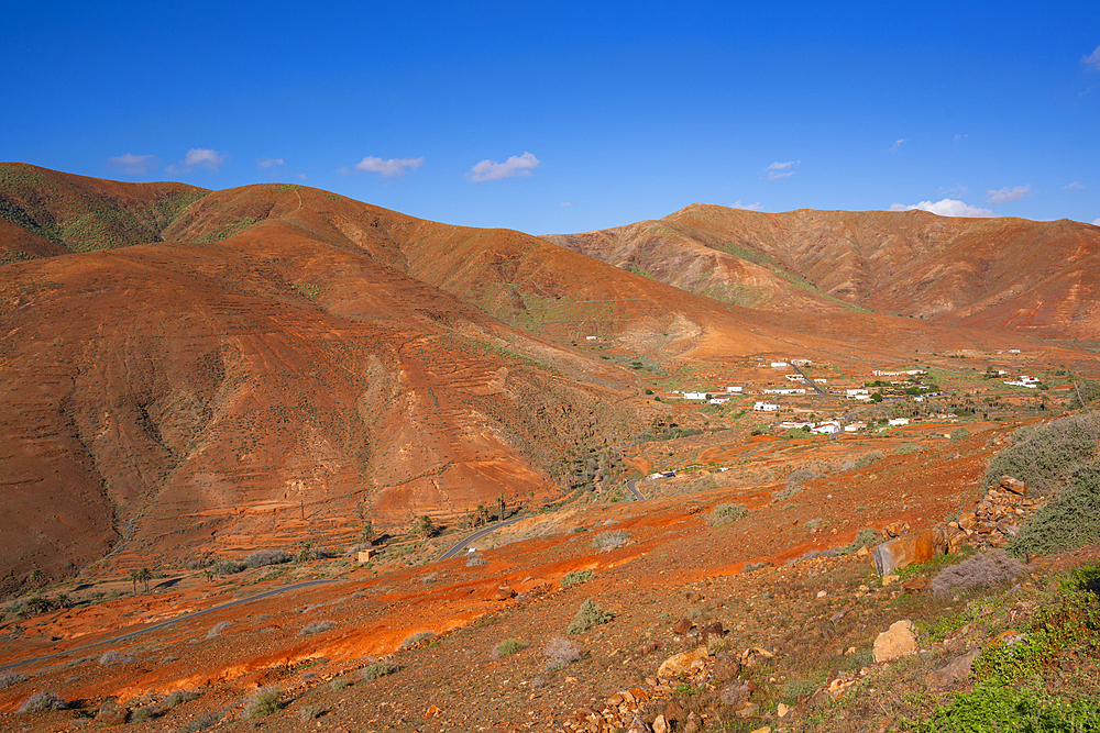 View of landscape near Vega de Rio Palmas, Betancuria, Fuerteventura, Canary Islands, Spain, Atlantic, Europe