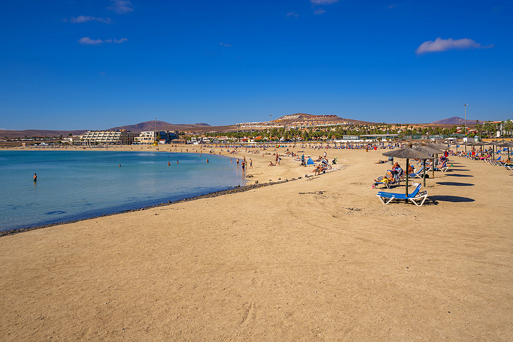 View of Playa del Castillo Beach in Castillo Caleta de Fuste, Fuerteventura, Canary Islands, Spain, Atlantic, Europe