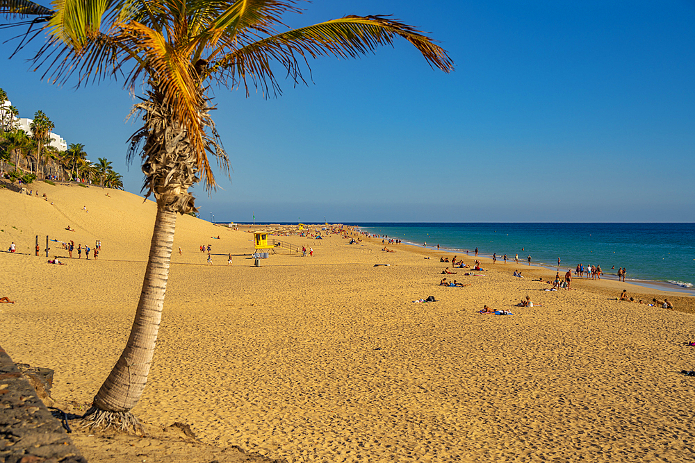 View of Playa del Matorral beach, Morro Jable, Fuerteventura, Canary Islands, Spain, Atlantic, Europe