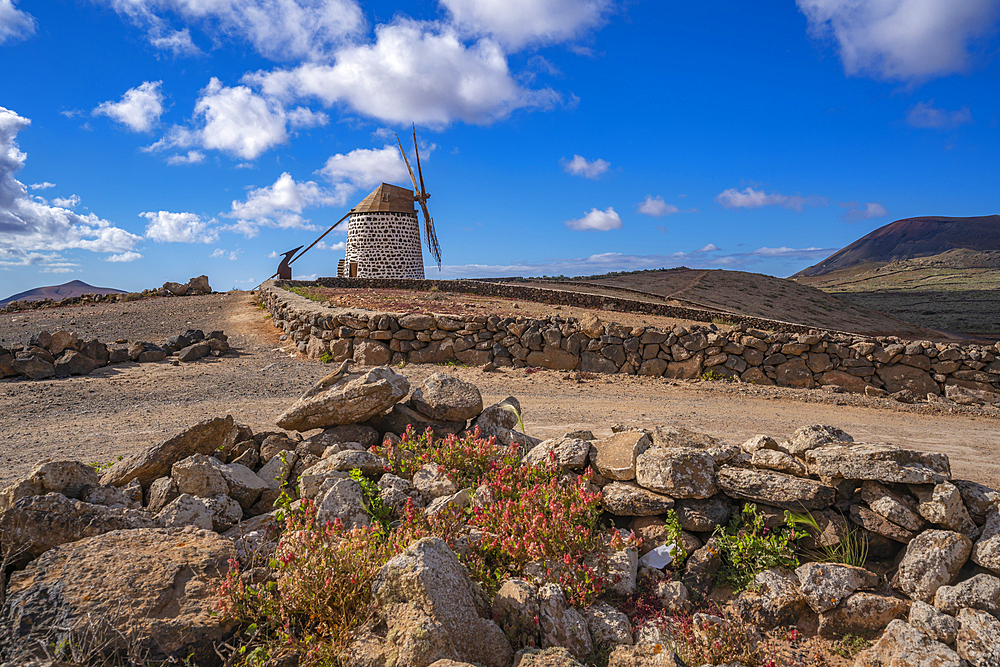 View of typical windmill and landscape on a sunny day, La Oliva, Fuerteventura, Canary Islands, Spain, Atlantic, Europe