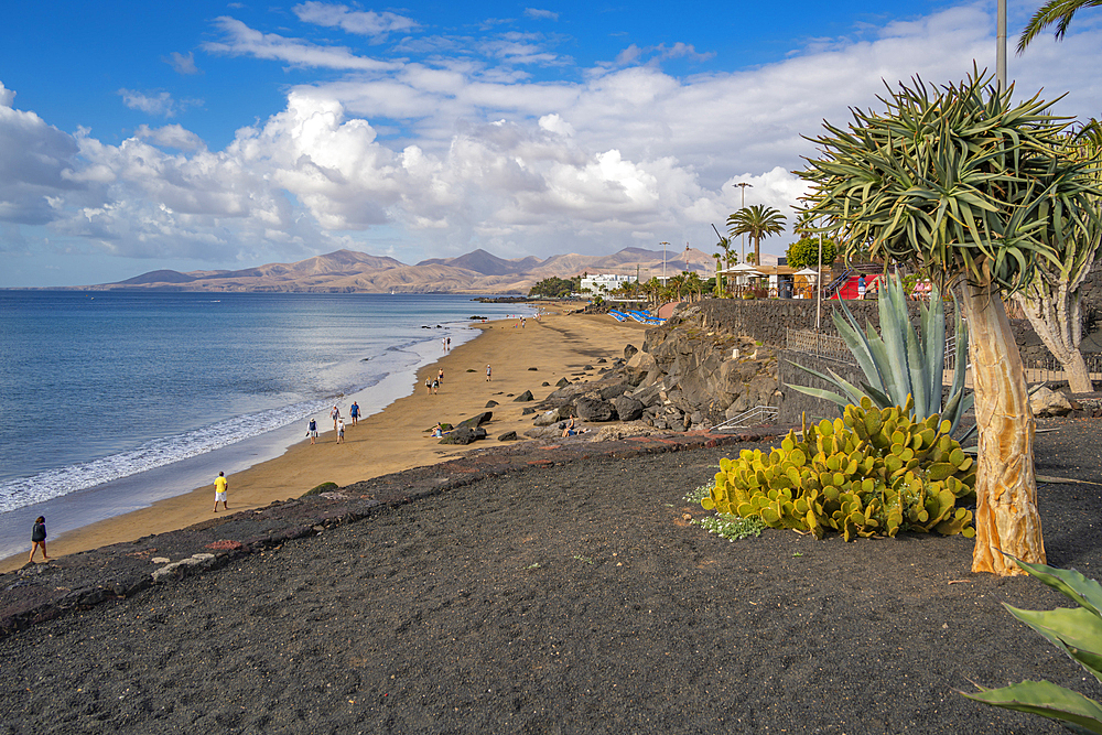 View overlooking Playa Grande beach and Atlantic Ocean, Puerto del Carmen, Lanzarote, Las Palmas, Canary Islands, Spain, Atlantic, Europe