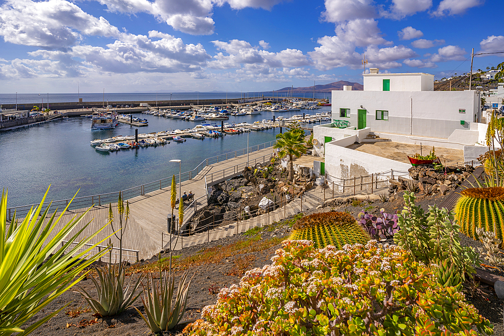 View of harbour from elevated position, Puerto del Carmen, Lanzarote, Las Palmas, Canary Islands, Spain, Atlantic, Europe