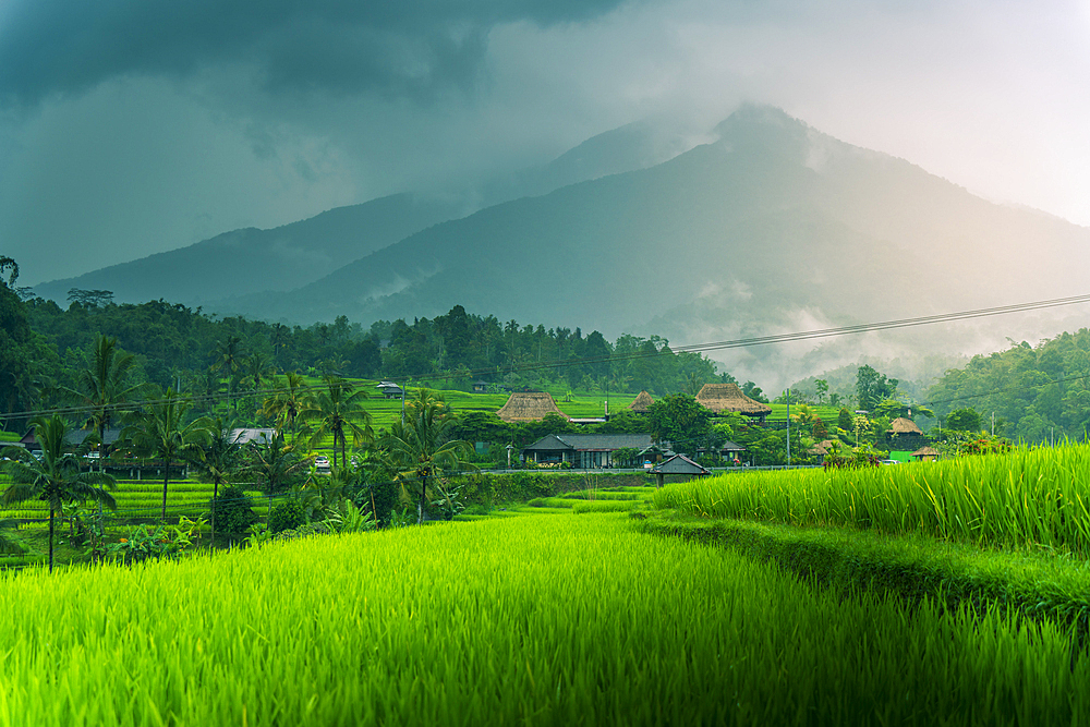 View of Sidemen Rice Terrace, Sidemen, Kabupaten Karangasem, Bali, Indonesia, South East Asia, Asia