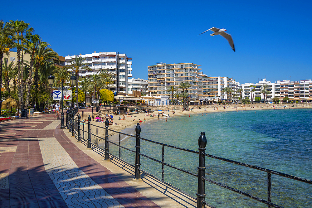 View of promenade and Playa De Santa Eulalia, Santa Eularia des Riu, Ibiza, Balearic Islands, Spain, Mediterranean, Europe