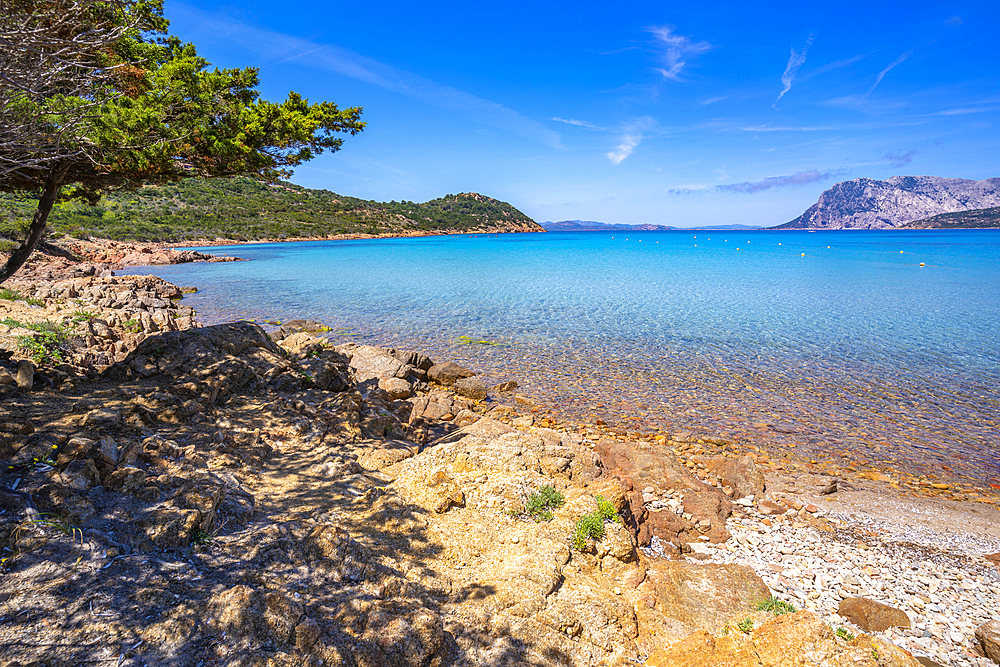 View of Capo Coda Cavallo beach and Isola di Tavolara in background, Sardinia, Italy, Mediterranean, Europe