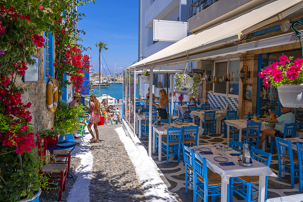 View of colourful local Taverna overlooking Kos Harbour, Kos Town, Kos, Dodecanese, Greek Islands, Greece, Europe