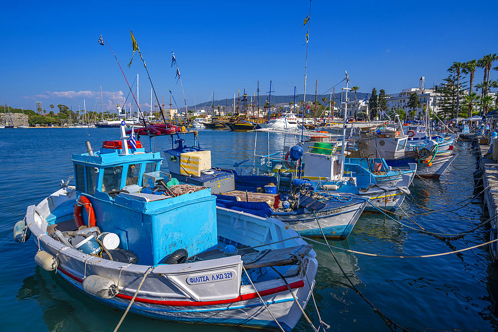 View of boats and ships in Kos Harbour, Kos Town, Kos, Dodecanese, Greek Islands, Greece, Europe