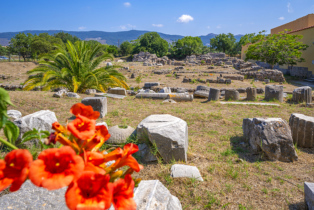 View of Roman Thermal Baths, Kos Town, Kos, Dodecanese, Greek Islands, Greece, Europe