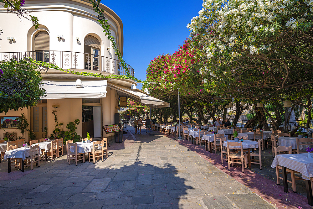 View of taverna among flowering trees, Kos Town, Kos, Dodecanese, Greek Islands, Greece, Europe