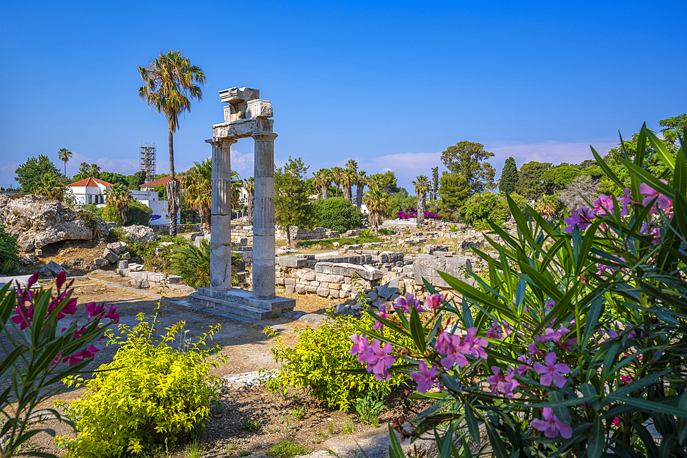 View of Ancient Agora, Kos Town, Kos, Dodecanese, Greek Islands, Greece, Europe